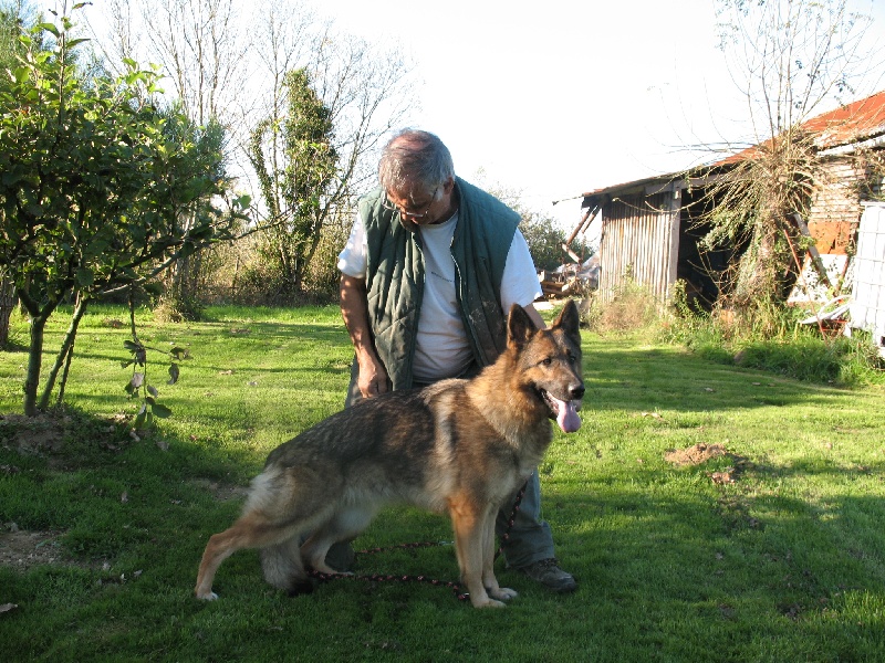 CH. Bora des servant de sernunnos